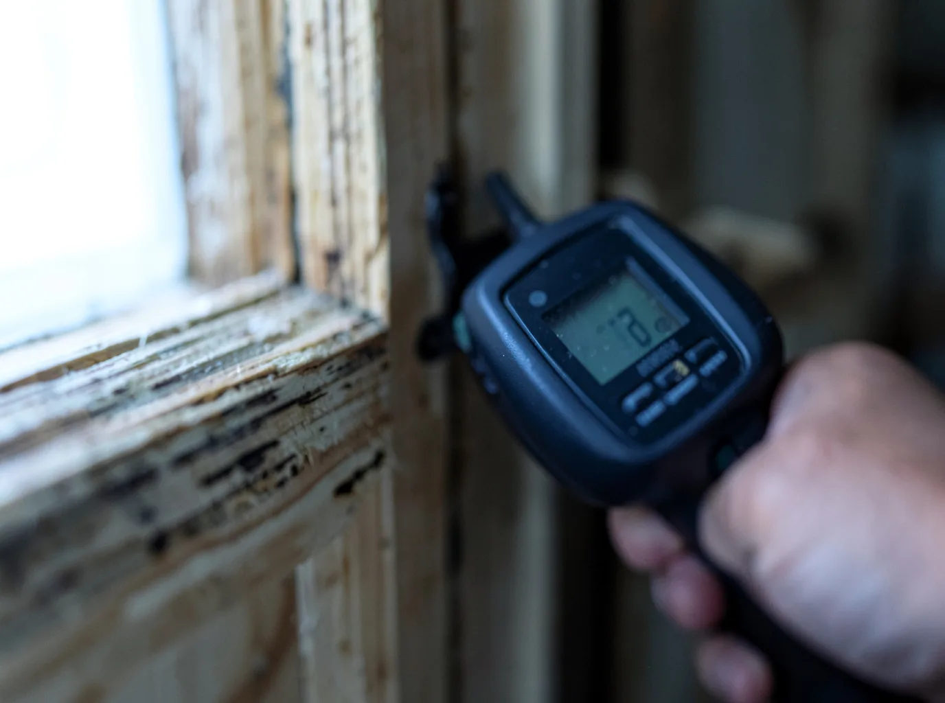 Commercial Water Damage Restoration in Pima, AZ